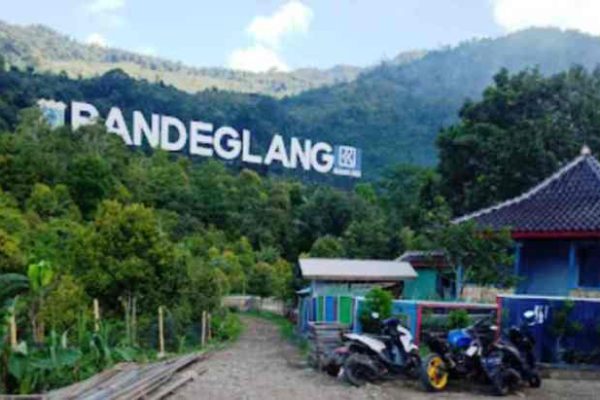 Daun penggemuk ayam di Banjar, Kab. Pandeglang