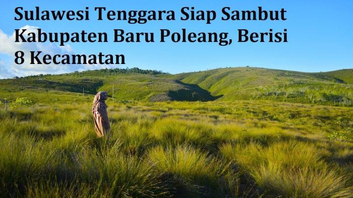 Sulawesi Tenggara akan Pecah Kabupaten Bombana Jadi Kota Baru Poleang ... Daun penggemuk ayam di Poleang Tenggara, Bombana