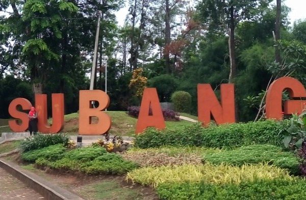 Ayam afkir di Subang, Kab. Subang