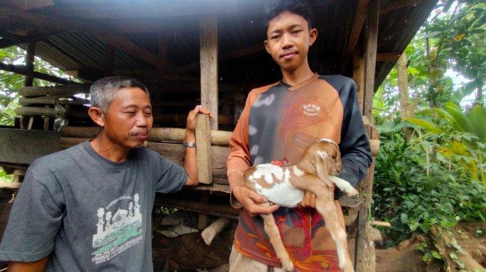 Daging kambing di Anak Tuha, Lampung Tengah