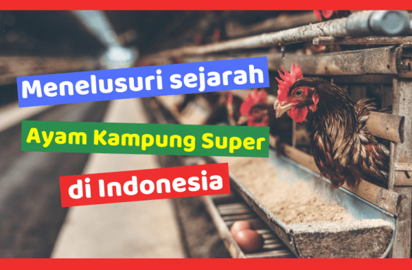 Gambar 1. Lokasi Kabupaten Tanjung Jabung Timur dalam wilayah Provinsi ...