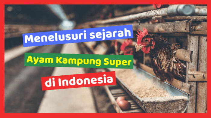 Gambar 1. Lokasi Kabupaten Tanjung Jabung Timur dalam wilayah Provinsi ...