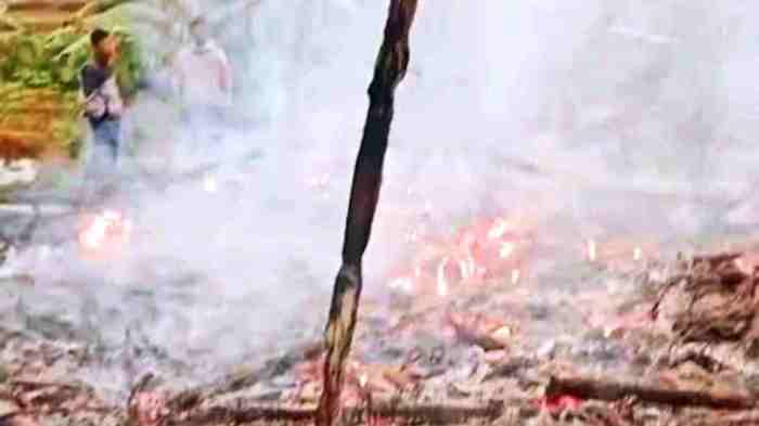 Ayam afkir di Sukamantri, Ciamis