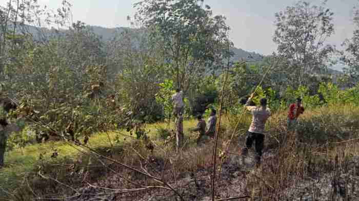 Daging kambing di Pataruman, Kota Banjar
