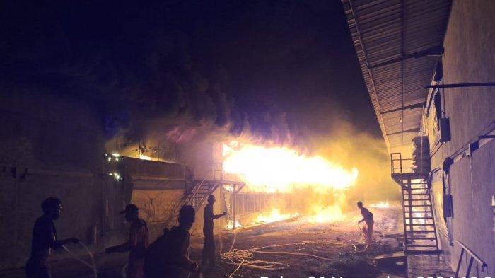 Ayam afkir di Karangwareng, Cirebon