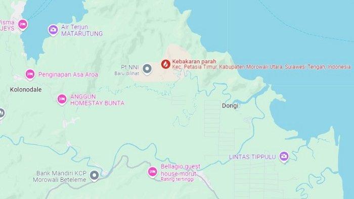 Daun penggemuk ayam di Petasia Timur, Morowali Utara