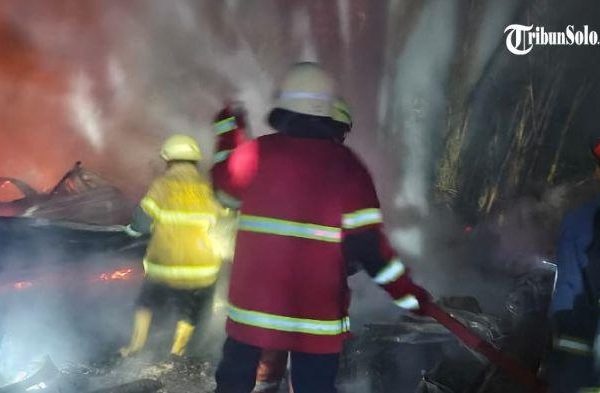 Peternakan ayam kampung di Mojogedang, Karanganyar