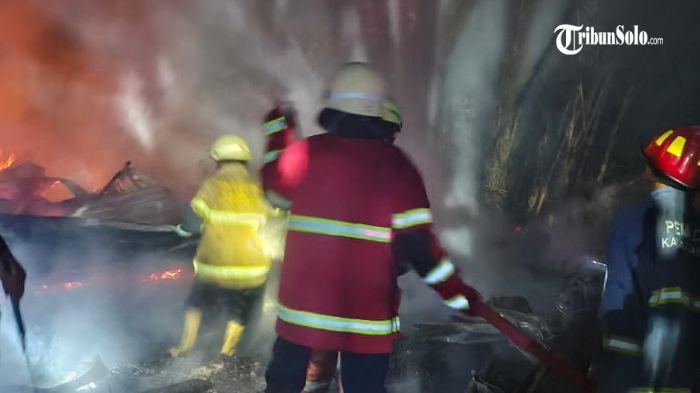 Peternakan Ayam Kampung Petelur di Bogor - Vlix.id Peternakan ayam kampung di Mojogedang, Karanganyar