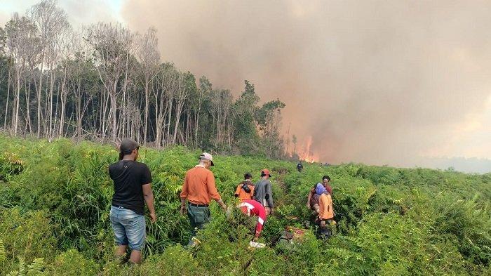 Update Kebakaran Hutan di Silaut Pesisir Selatan, 2 Titik Api Sudah ... Update Kebakaran Hutan di Silaut Pesisir Selatan, 2 Titik Api Sudah ...