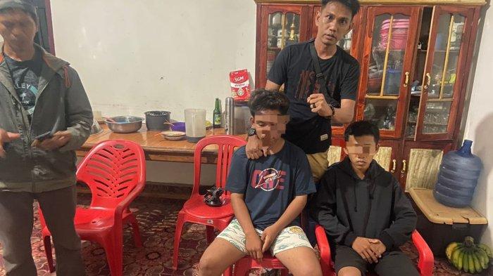 Daun penggemuk ayam di Walenrang Utara, Luwu