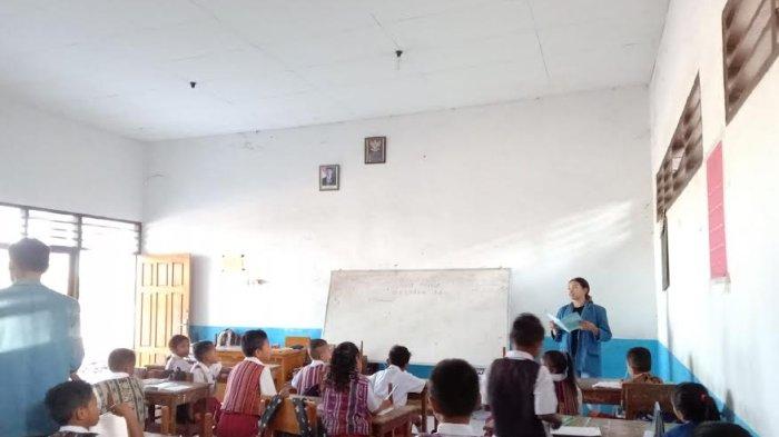 Daun penggemuk ayam di Omesuri, Lembata