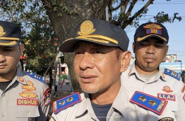 Daun penggemuk ayam di Kadia, Kota Kendari