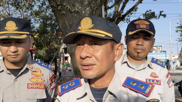 Daun penggemuk ayam di Kadia, Kota Kendari