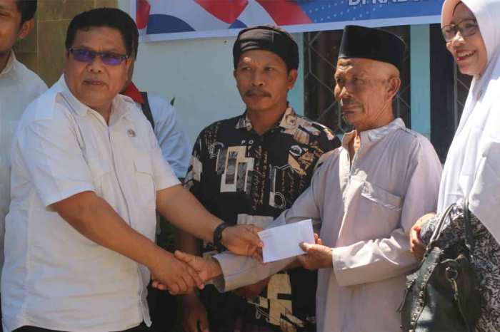 Daun penggemuk ayam di Aikmel, Lombok Timur