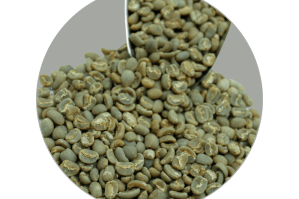 Ayam layer di Kayu Aro Barat, Kabupaten Kerinci