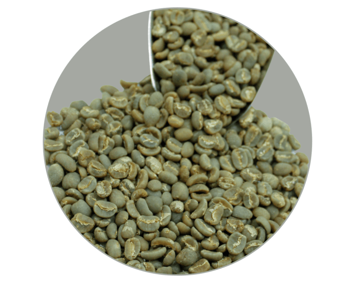 KERINCI KAYU ARO ARABICA GR1 TP – Mancafe Ayam layer di Kayu Aro Barat, Kabupaten Kerinci