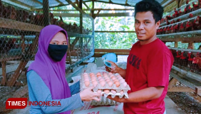 Budidaya ternak ayam kampung - Blog yang mengulas cara budidaya hewan ... Budidaya ternak ayam kampung - Blog yang mengulas cara budidaya hewan ...