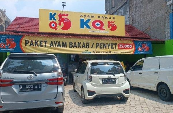 Indukan Ayam Afkir 4kg Menjanjikan, Untuk Konsumsi - YouTube