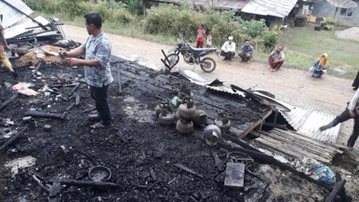 Ternak Ayam Kampung di Peunaron, Aceh Timur