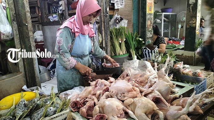 Walah...! 309 Kilogram Daging Ayam Murah di Sragen Ludes Dalam 15 Menit ... Budidaya ternak ayam di Sragen, Kab. Sragen