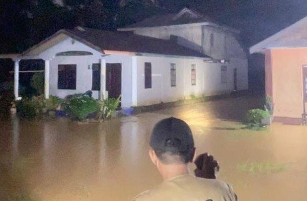 Daun penggemuk ayam di Karossa, Mamuju Tengah