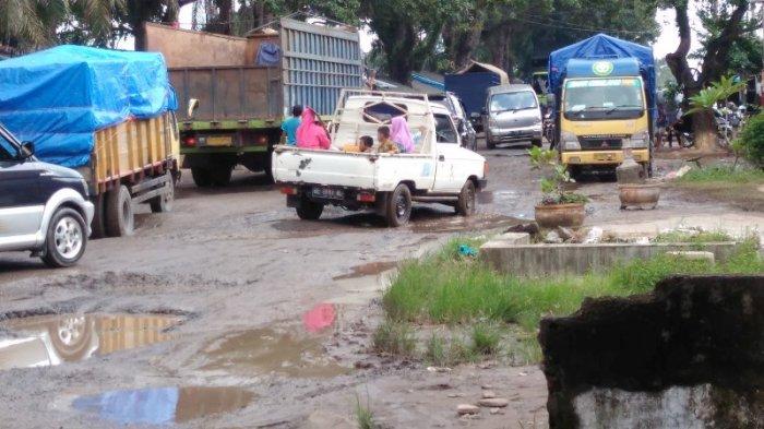 Peternakan ayam lampung Budidaya ayam di Rumbia, Lampung Tengah