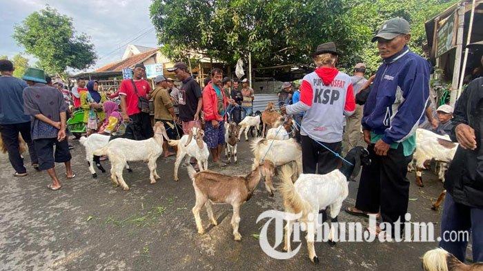Daging kambing di Babadan, Ponorogo