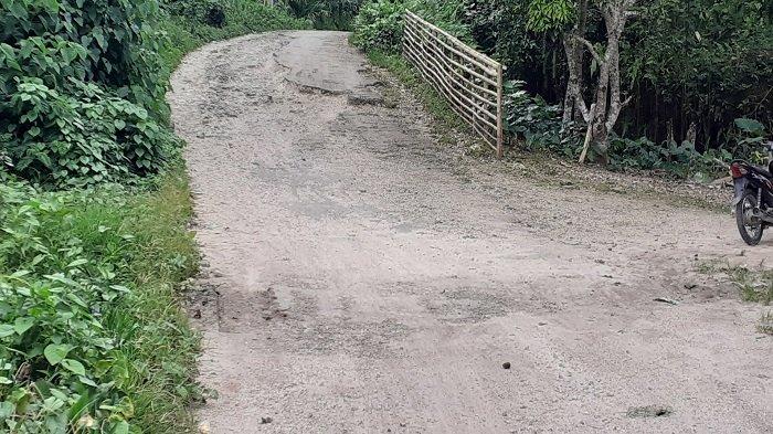 Daun penggemuk ayam di Wewewa Utara, Sumba Barat Daya