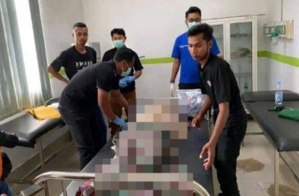 Daun penggemuk ayam di Watopute, Muna