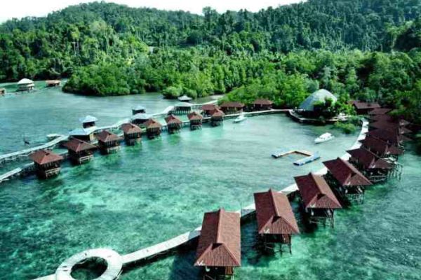 Daun penggemuk ayam di Salawati Utara, Kab. Raja Ampat