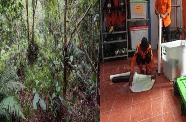 Daun penggemuk ayam di Moramo Utara, Konawe Selatan