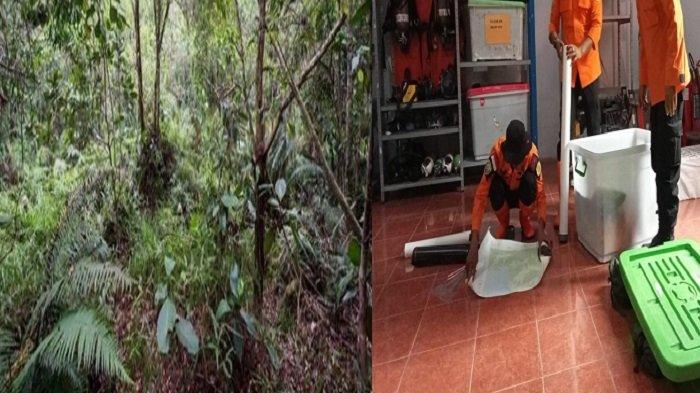 Daun penggemuk ayam di Moramo Utara, Konawe Selatan