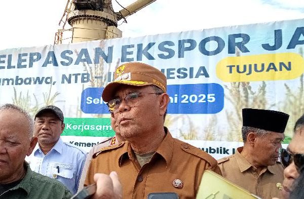 Daun penggemuk ayam di Labangka, Sumbawa