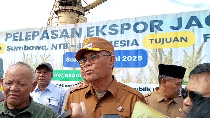 Daun penggemuk ayam di Labangka, Sumbawa