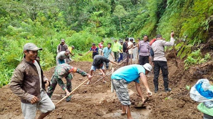 Daun penggemuk ayam di Macang Pacar, Manggarai Barat