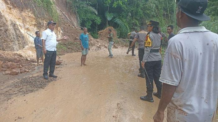 Daun penggemuk ayam di Wulandoni, Lembata