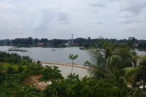 Ayam layer di Danau Sipin, Kota Jambi