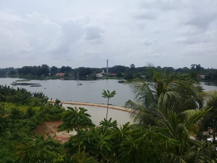 Ayam layer di Danau Sipin, Kota Jambi