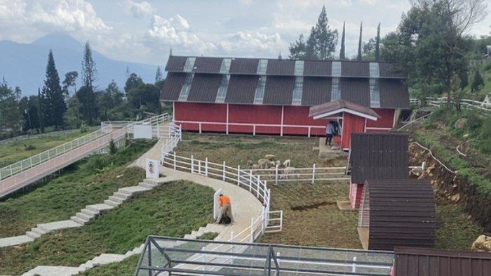 Objek Wisata Baru di Sidomukti Semarang: Little Ranch, Peternakan Ala ... Peternakan ayam kampung di Sidomukti, Kota Salatiga
