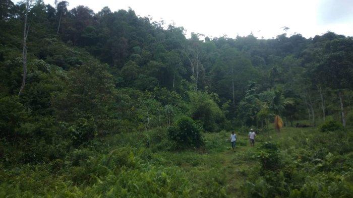 Kabupaten Solok Selatan, Sumatera Barat, 7 Kecamatan, 39 Desa - YouTube Ayam ternak di Sangir, Kabupaten Solok Selatan