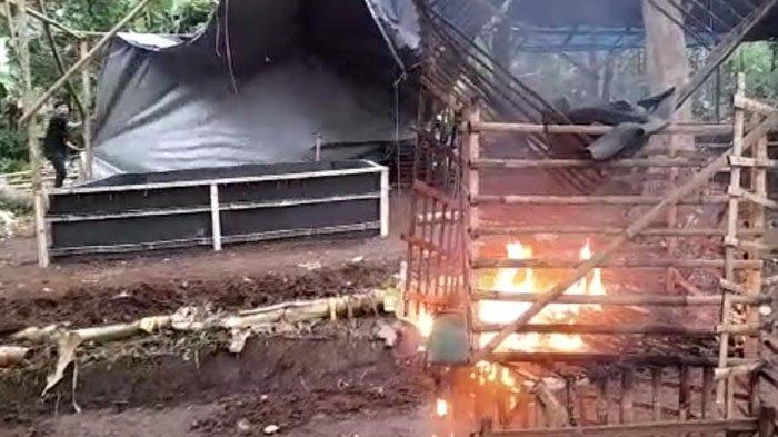 Daun penggemuk ayam di Labuan, Kab. Pandeglang