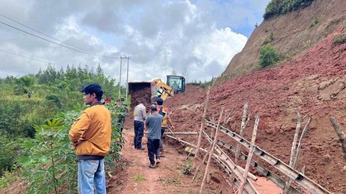 Daun penggemuk ayam di Sumarorong, Mamasa