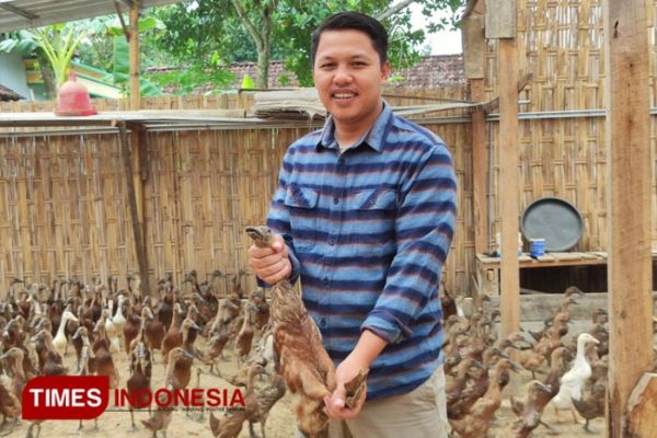 KUNCI SUKSES ! Ternak Ayam Pedaging Broiler Cepat Besar Cepat Besar ...