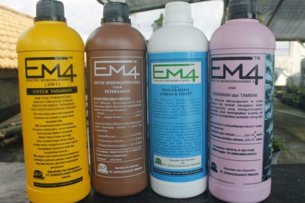 Em4 peternakan ayam di Inuman, Kuantan Singingi