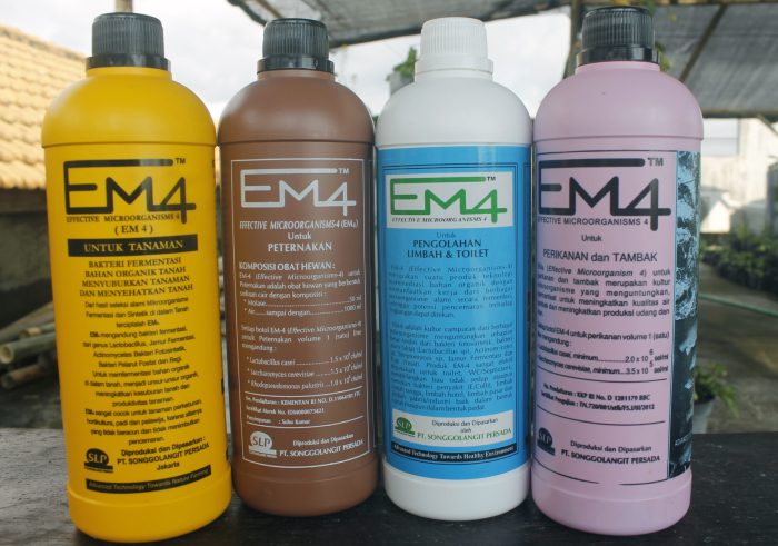 Em4 peternakan ayam di Lubuk Basung, Kabupaten Agam