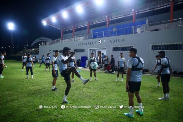 Daun penggemuk ayam di Insana, Timor Tengah Utara