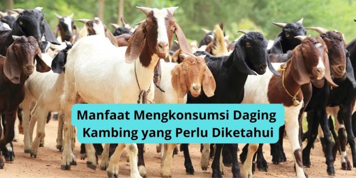 Daging kambing di Tahunan, Jepara