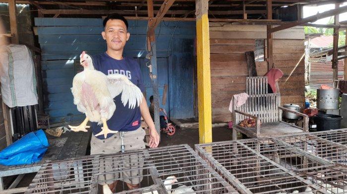 Harga ayam potong di Pasar Ciracas naik pada hari ketiga Ramadhan ...