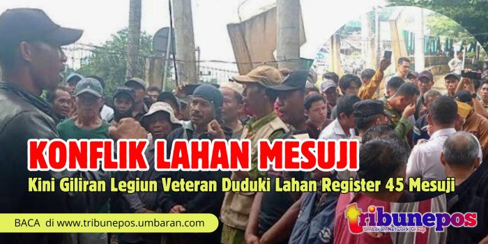 Kenalan dengan 2 Destinasi Favorit di Mesuji - Lampung Geh! Budidaya ayam di Mesuji, Kab. Mesuji