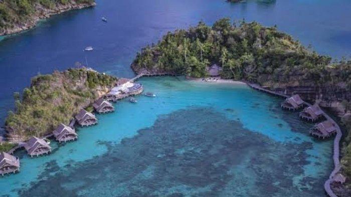 Lima Destinasi Wisata Pulau Misool Raja Ampat yang Paling Sering ... Daun penggemuk ayam di Misool Timur, Kab. Raja Ampat